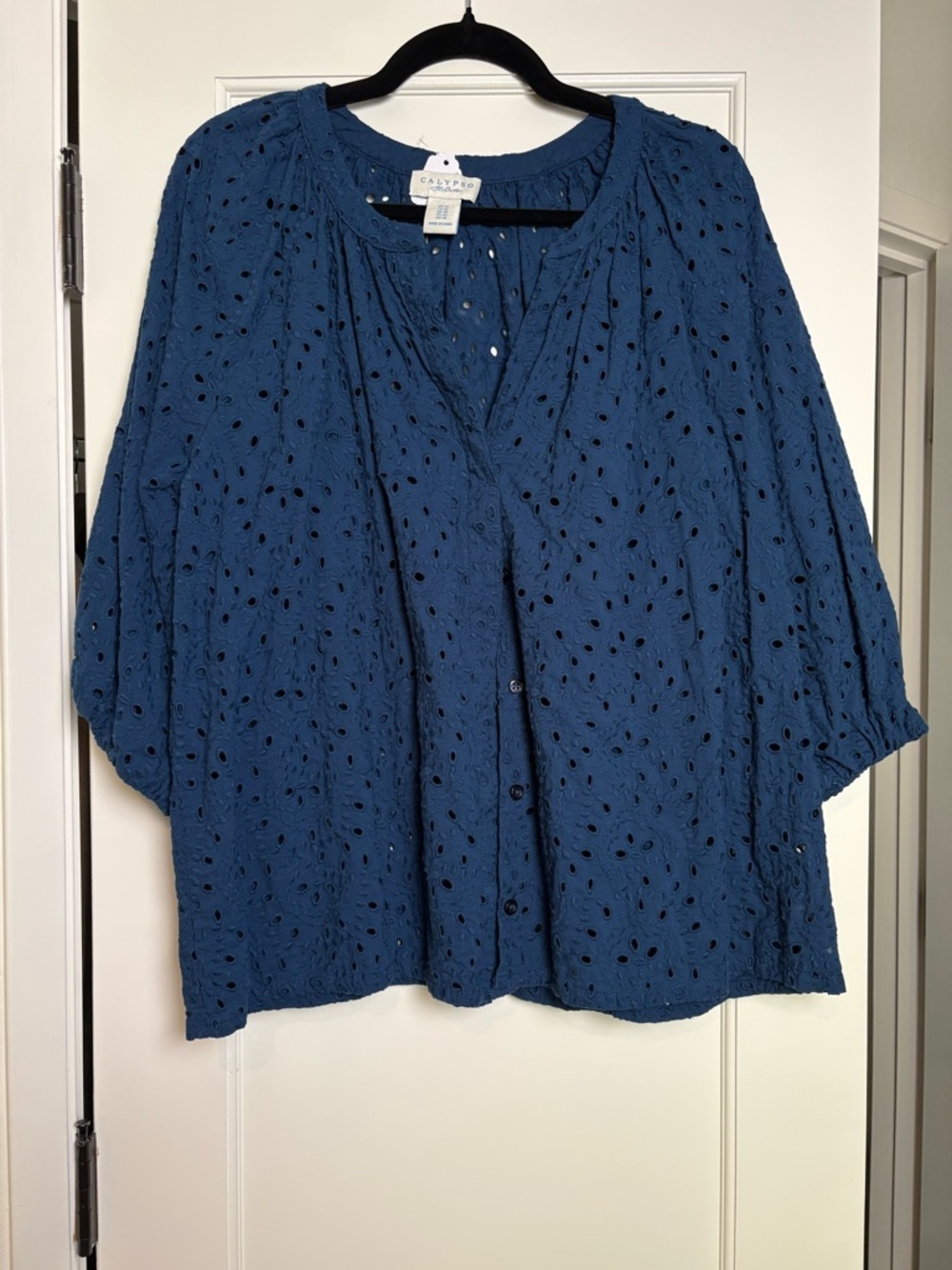 Calypso St. Barth Blue Eyelet Button Peasant Blouse (1X) - Picture 2 of 4